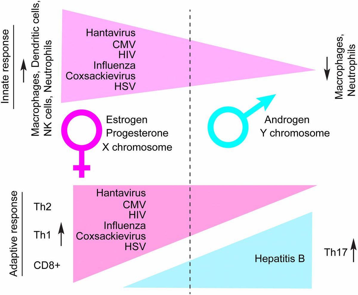 Right now the conflation in science between the words sex/gender has become so widespread that both words have lost their original meaning.In describing the dimorphic immune response to viral infections like  #COVID19, is it sex or gender?2/5