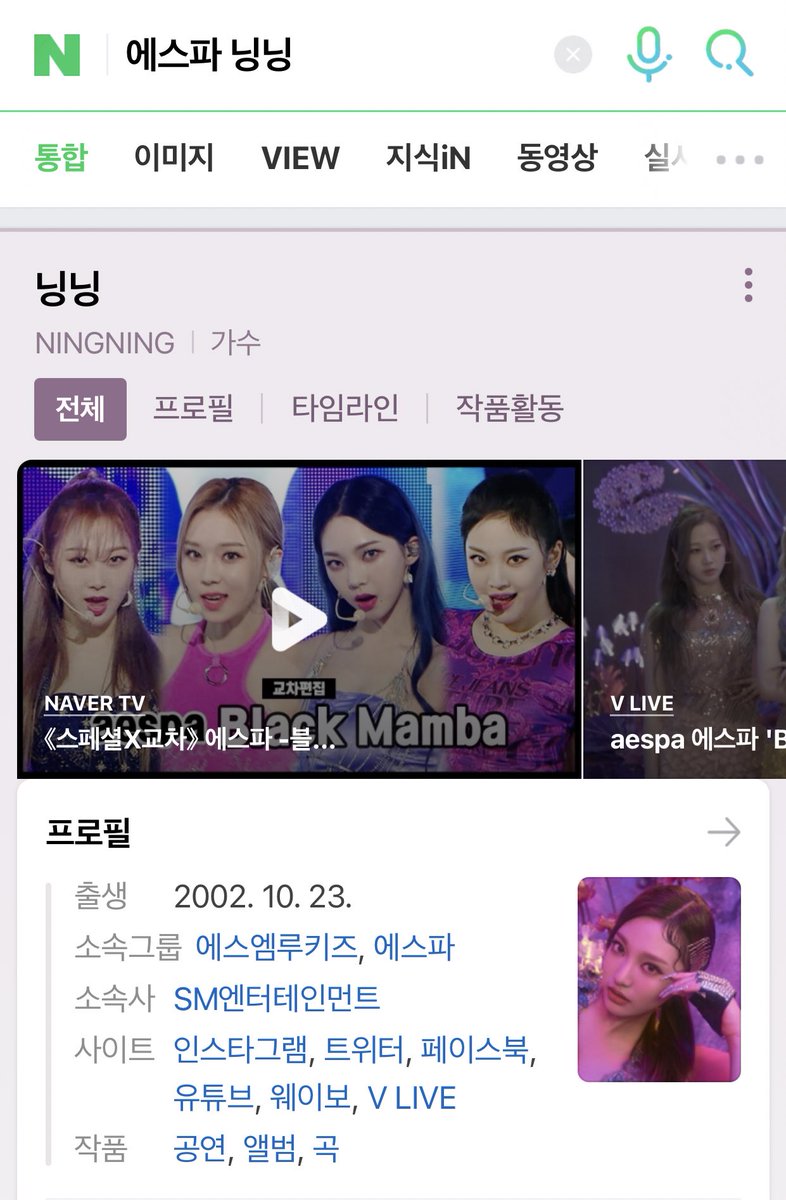 1. PARTICIPATION INDEX To increase this particular index, we must search for Ningning’s index name (에스파 닝닝) on several different platforms including Google, Daum, Naver, Nate, Youtube, Wikipedia, etc.