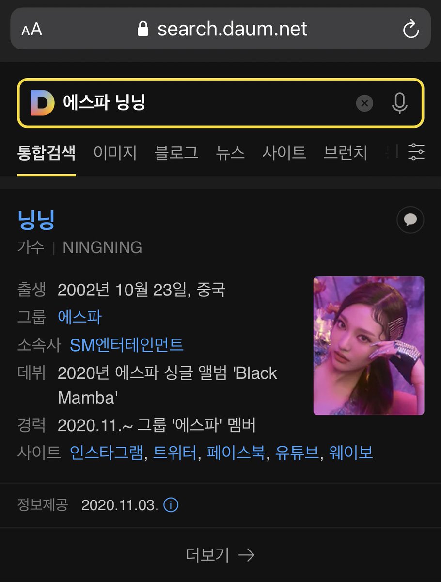1. PARTICIPATION INDEX To increase this particular index, we must search for Ningning’s index name (에스파 닝닝) on several different platforms including Google, Daum, Naver, Nate, Youtube, Wikipedia, etc.