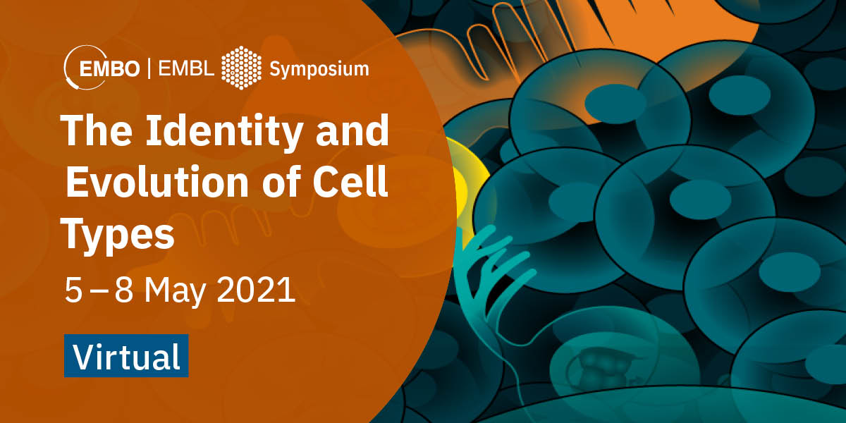 EMBLEvents's tweet photo. Our second EMBO | EMBL Symposium on the identity and evolution of cell types will re-assemble the growing community of scientists pushing forward the limits of this exciting new field. #EESCellTypes 

📩Submit your abstract by 10 March.
👉https://t.co/WMNhjtTuWb https://t.co/U0qhncEEkE