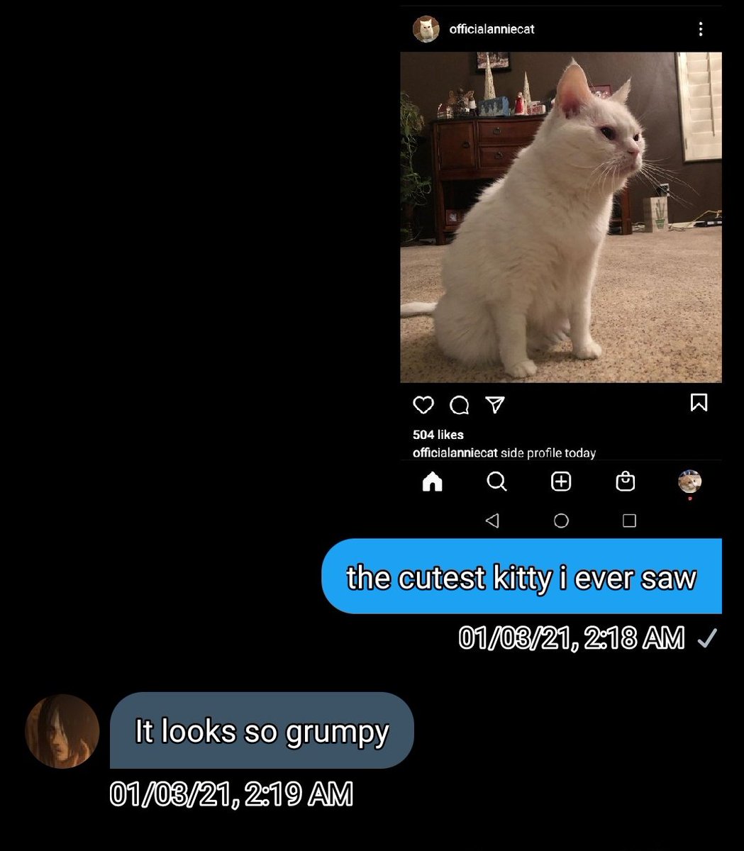 he called cat Annie grumpy