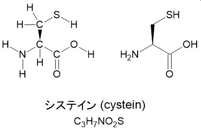 佐藤健太郎 今日の構造式 63 種のアミノ酸の一つ システイン Sh基があるため 他のアミノ酸 にはない特殊能力を持ちます たとえばイオウ原子は重金属イオンにくっつきやすく これらをタンパク質内に保持します こうしたタンパク質は アミノ酸だけ