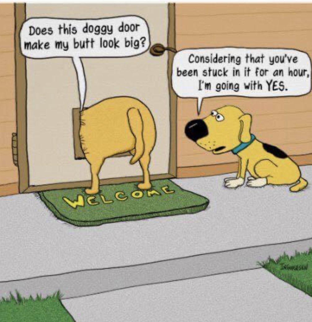 trout_tnt's tweet photo. #MoxieTheDog loves this! https://t.co/IZDHvD1vqH