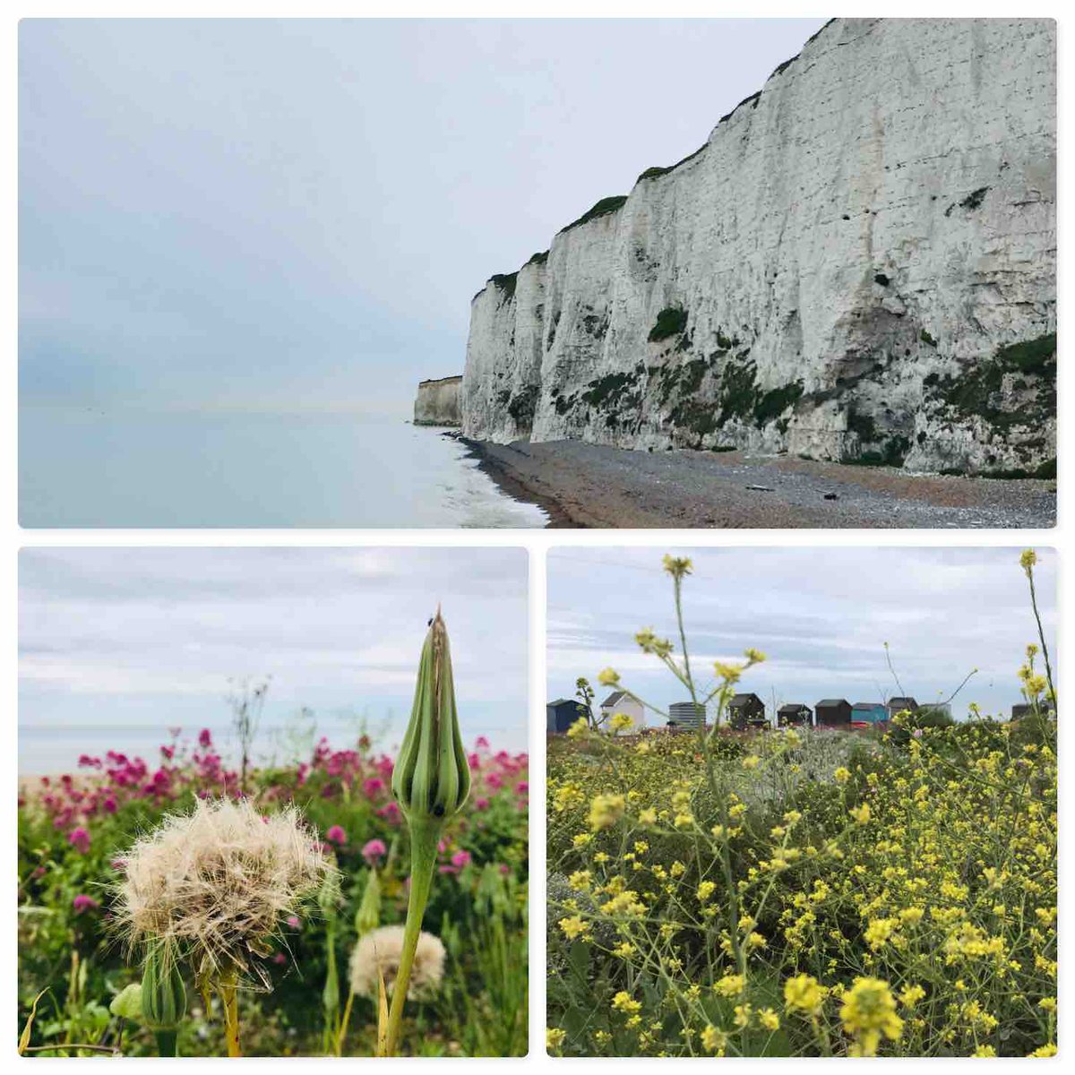 So #lookingforward to #summertime #Dover - #perfect for when the #weather is fine #folkestone #whitecliffsofdover Kent #coast @uktraveltourism @aroundaboutbrit @DoverWaW @WalkersrWelcome @saturdaywalkers @VisitDover @VisitDeal @VisitFolkestone @daysoutguide @KentScenes #vacation