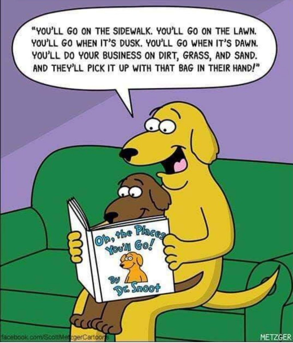 Ensurco1's tweet image. Our fur-kids love us unconditionally.  Make them feel loved.  Why not!