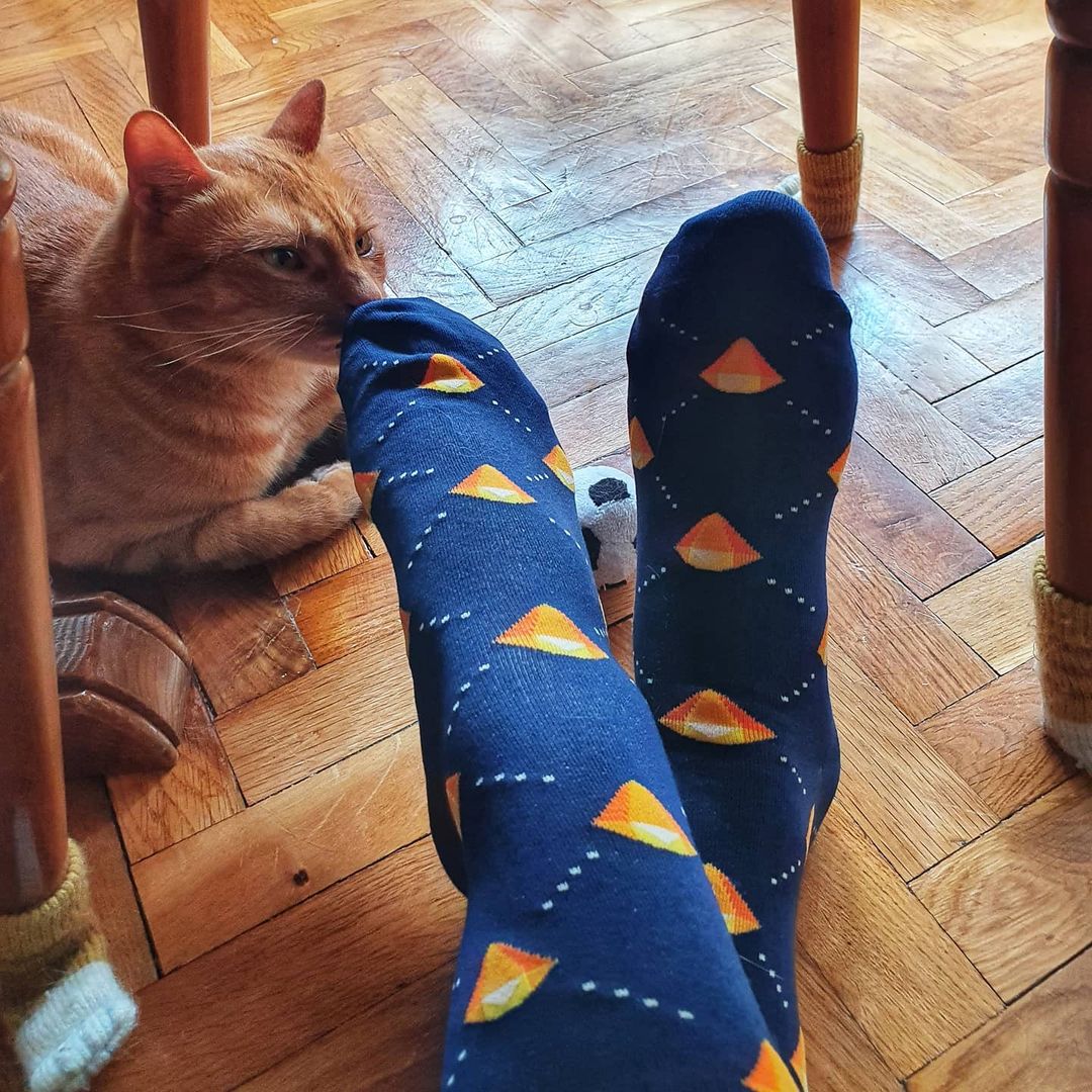 sketch's tweet photo. It’s called fashion, look it up. https://t.co/hS17lMvHdz