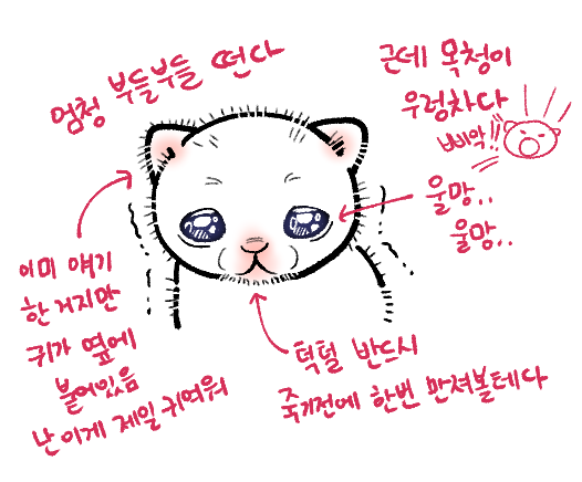 아기고양이... 귀여움포인트... 뇌절 https://t.co/SwDq8EkRgu 