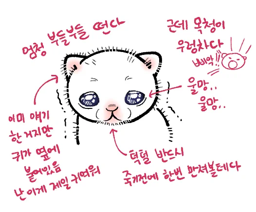 아기고양이... 귀여움포인트... 뇌절 https://t.co/SwDq8EkRgu 