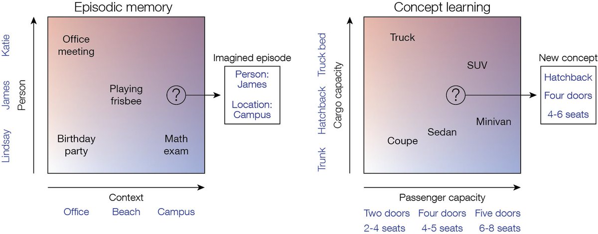 Our new review looks at how cognitive maps in hippocampus, entorhinal cortex, and medial prefrontal cortex support both episodic memory and concept learning. These cognitive maps may support imagination of both future episodes and novel concepts. authors.elsevier.com/a/1cNbc_rUrU3r…