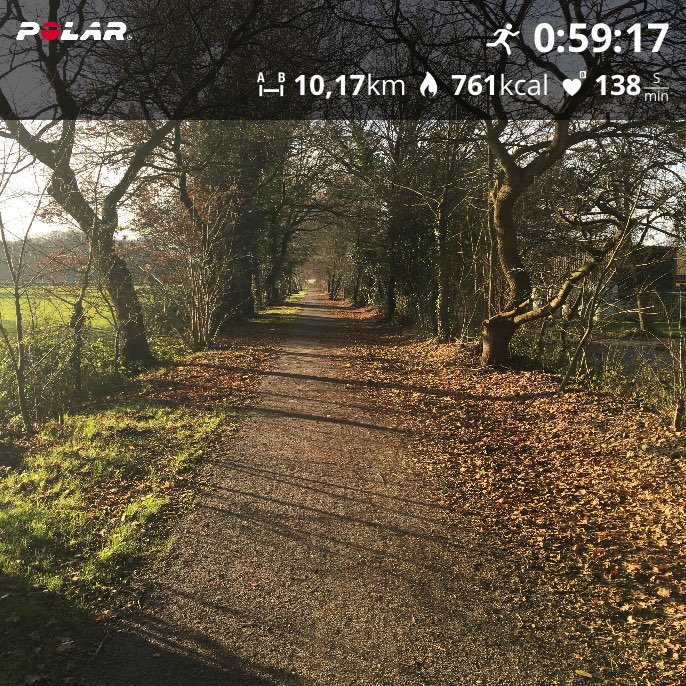 Heute war es schon mal länger hell! 😃😃😃🏃🏻‍♂️🏃🏻‍♂️🏃🏻‍♂️
#PolarVantageV #PolarTraining #teamlangehose