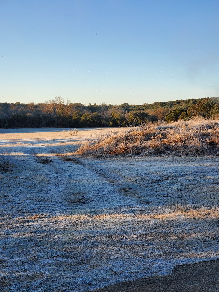Workinghans's tweet image. Good morning #tweethearts.  A frosty morning about 8° below freezing. And of course... my tea spilled in the car. #sendTea #tea911