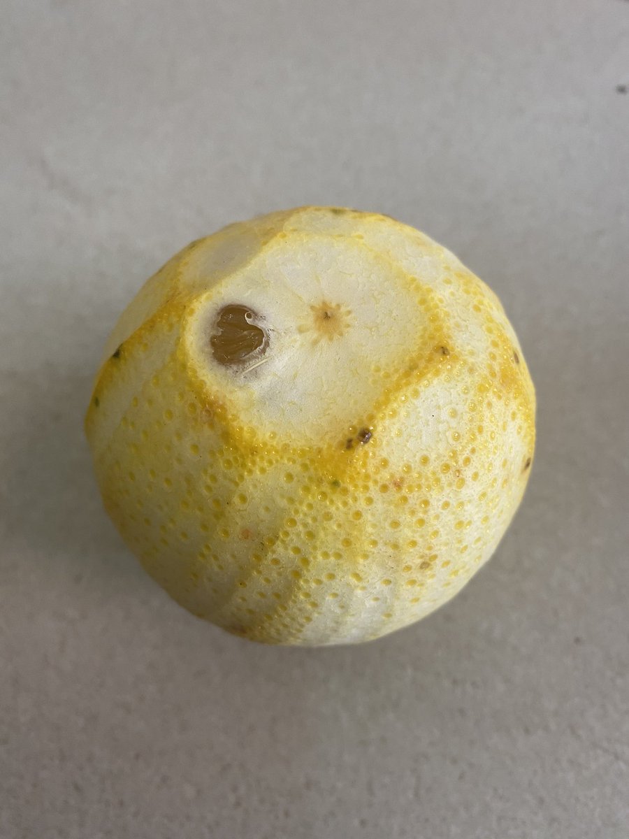 This is a picture of her. She looked so perfect in her outfit. She was ready to conquer the world but wanted to first explore it to find out what the “college” life was all about. She forgot why she studied so hard in the face place. Her mind was clouded with her own foolishness.