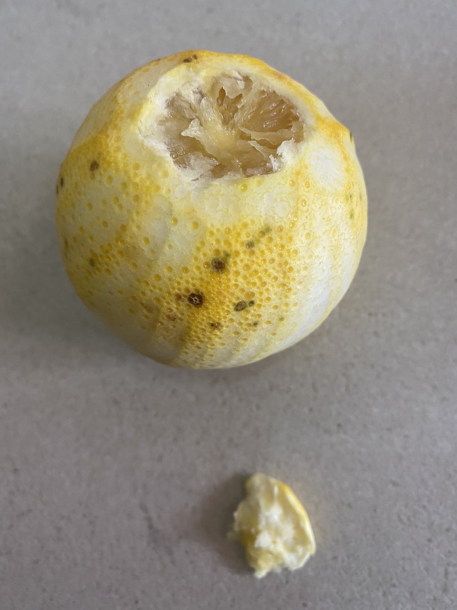 A semester passed and this was her. I know right? They had eaten her “saaa!” but not “paaah” just “saaah”. You know how these uni boys get: “Hey, what’s your name? Ei you’re fine oo. I’ll pass by your room later. Do you have stew?” She fell for lines like that. A year later :