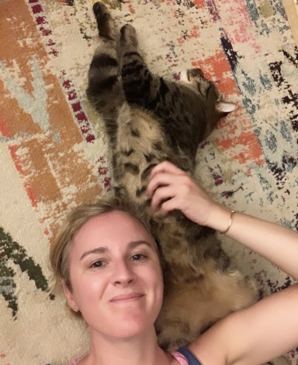 Took a chance 1 year ago today & so happy to have wound up with this lil fella. He makes every day brighter, even when he walks across my tits at 5am for no reason.  https://twitter.com/katebarstool/status/1216419919572631554