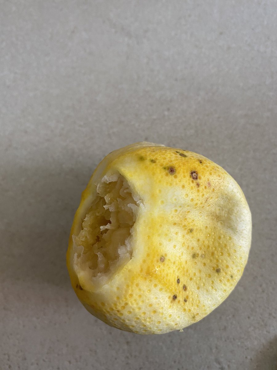 I feel these pictures are telling the story so I won’t say much. That’s her. Scroll up and compare. Next frame is what happened a year after.