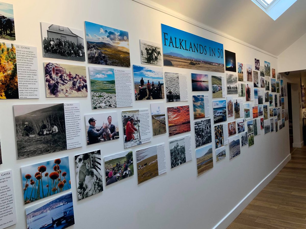 FIMuseum's tweet photo. Our new exhibition, Falklands in 50 is now open!
This display showcases 50 attributes which make the Falklands what they are. It highlights unique areas of cultural importance as well as the wildlife and other natural aspects of the islands.
We'll post one of the 50 each day! ๐คฉ https://t.co/5q7th4FiYk