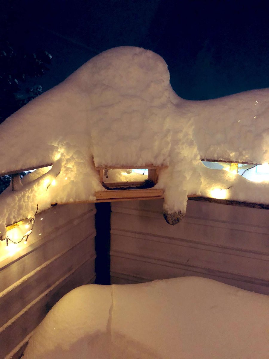 That escalated quickly 🤣🤣❄⚠️#snow #bredbyn #örnsköldsvik https://t.co/4kduMASFK1