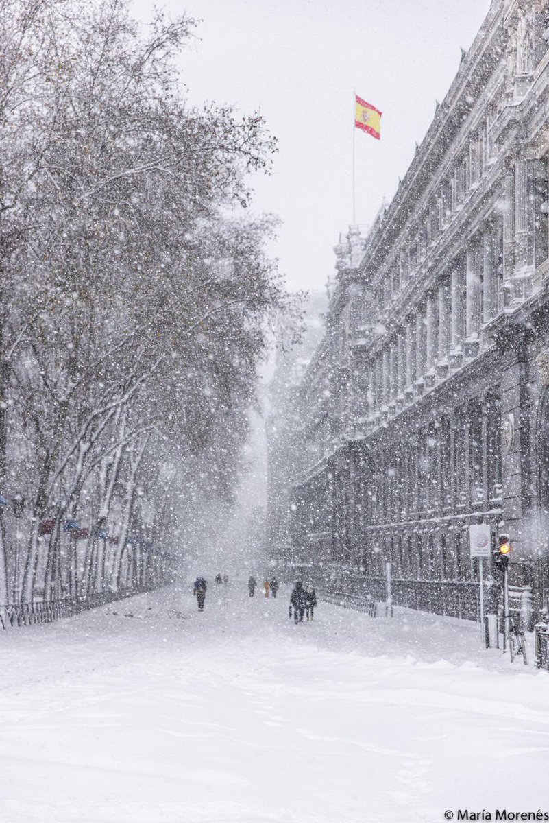 tere_mor's tweet photo. Os enseño algunas de las mejores fotos de la nevada en Madrid. Son de Maria Morenés y en su instagram (@maria.morenes_photo) podéis ver más: https://t.co/2EAyvwUFO9