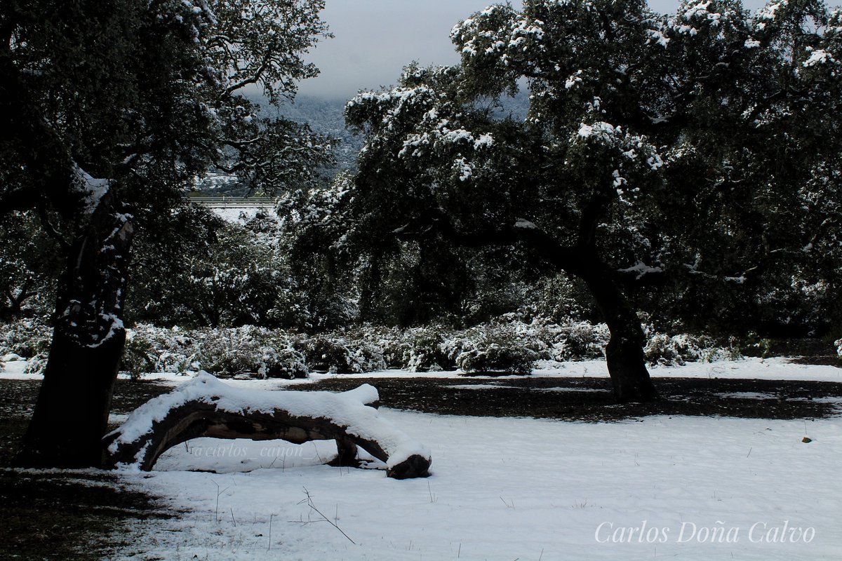 Carlos_canon_'s tweet photo. Foto realidad el pasado día 10/01/21 en la nieve.

#total_badajoz
#paisajestotales
#total_spain
#europegrafias
#totografia https://t.co/WAtm9UuSmv