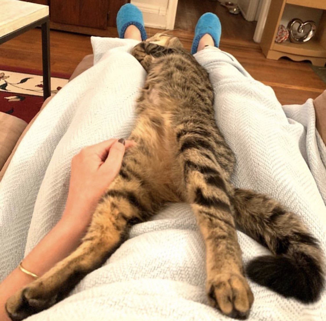 Also, who could have seen what 2020 would bring.. I was so lucky to have him during isolation. Never judged me no matter how weird I got in that mini studio