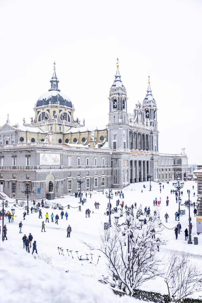tere_mor's tweet photo. Y algunas fotos más de María Morenés de la gran nevada en Madrid (instagram: @maria.morenes_photo). Espectaculares! https://t.co/gsj09vYGvR