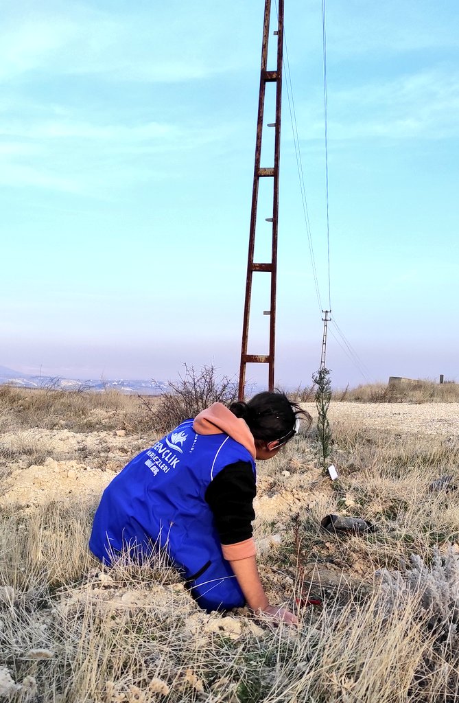 Yarın kıyametin kopacağını bilseniz bile,bugün elinizdeki fidanı dikiniz.
Hz. Muhammed (s.a.v)

Bugün Nizip Eğitim Fakültesi Bahçesinde gençlerimizle karaman şehitlerimiz adına fidan dikimi gerçekleştirdik 🌲🤗
#FidanDikimi
#NizipGM