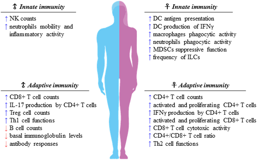 When researching the biological differences in immunological responses to viruses like  #COVID19, or the differences in drug metabolism, shouldn't we be using a biologically salient term like sex?Not doing so is dangerous for everyone. #TheBetterHalf5/5