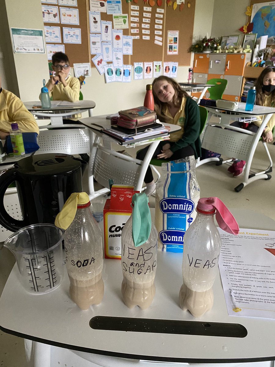 HIS_larisamirza's tweet photo. At @HeritagePrimary we know how to spark ⚡️ curiosity in learning!#yeastexperiment at @The_IPC #changingmaterials @HIS_Moldova @HisIpc https://t.co/U04PRKxV9A
