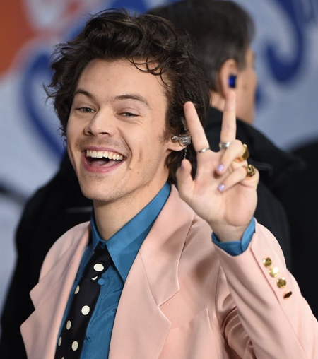 harry styles as textposts; a thread