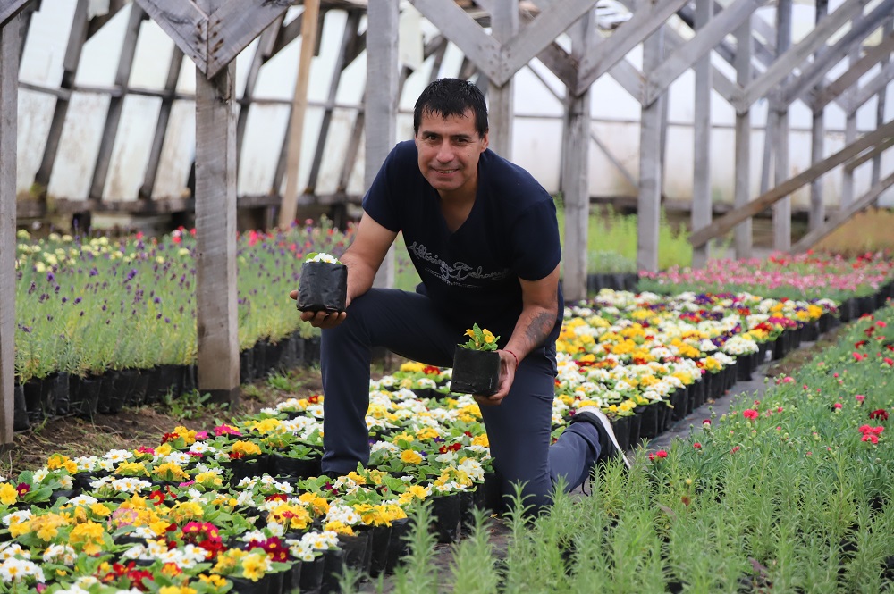 MagallanesIndap's tweet photo. Mercado Campesino Online actualizado. Conoce a los agricultores que venden a través de delivery y en predios de Punta Arenas. Coordina con ellos y disfruta del sabor sano de la Patagonia. https://t.co/Wf5KU35jli https://t.co/NkZ38oSp8m
