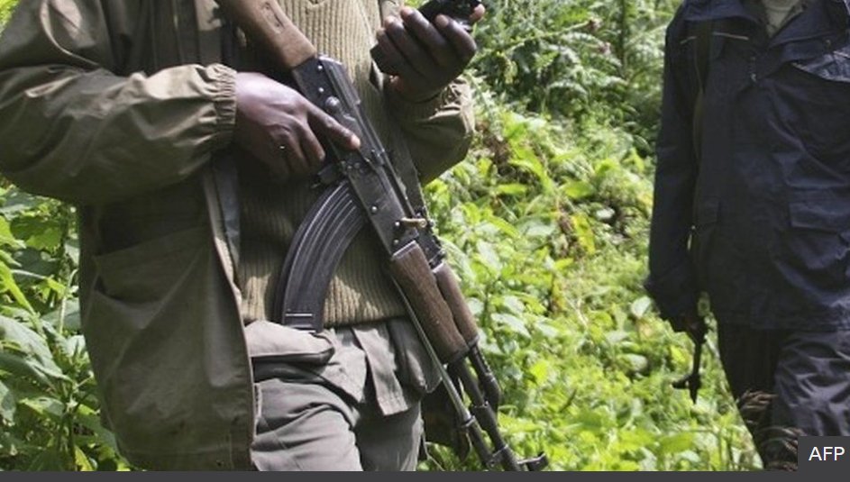flokwizera's tweet photo. Why are so many rangers being killed in the oldest #Africa / n natural reserve, the #Virunga, in #DRC . https://t.co/F93lbgZXHe https://t.co/K1o9w4dN9U