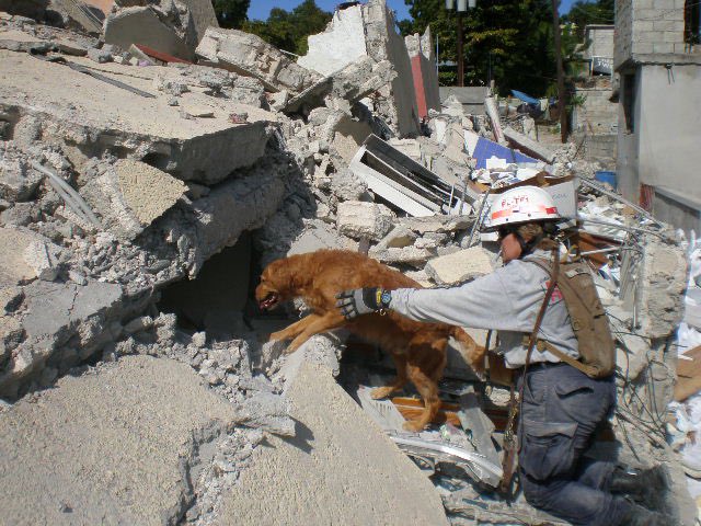 MiamiDadeFire's tweet photo. 11 years later, #MDFR still remembers the pain and suffering of the people of Haiti following a massive earthquake that caused catastrophic damage to parts of the country, leaving millions of people displaced. We will never forget. https://t.co/5hMa1Q62Ng