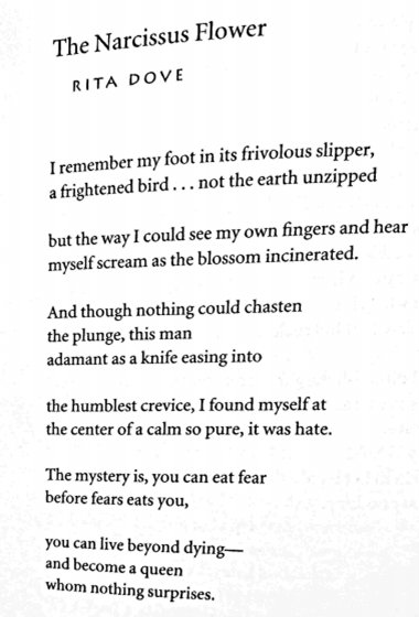 Rita Dove's "The Narcissus Flower"