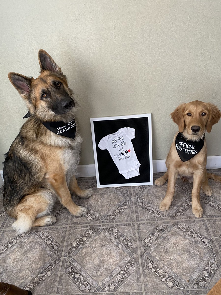 7KC3's tweet photo. Baby K you are so loved already. We can’t wait to meet you in July!! 💙💕👣 https://t.co/bB7OFROqyH
