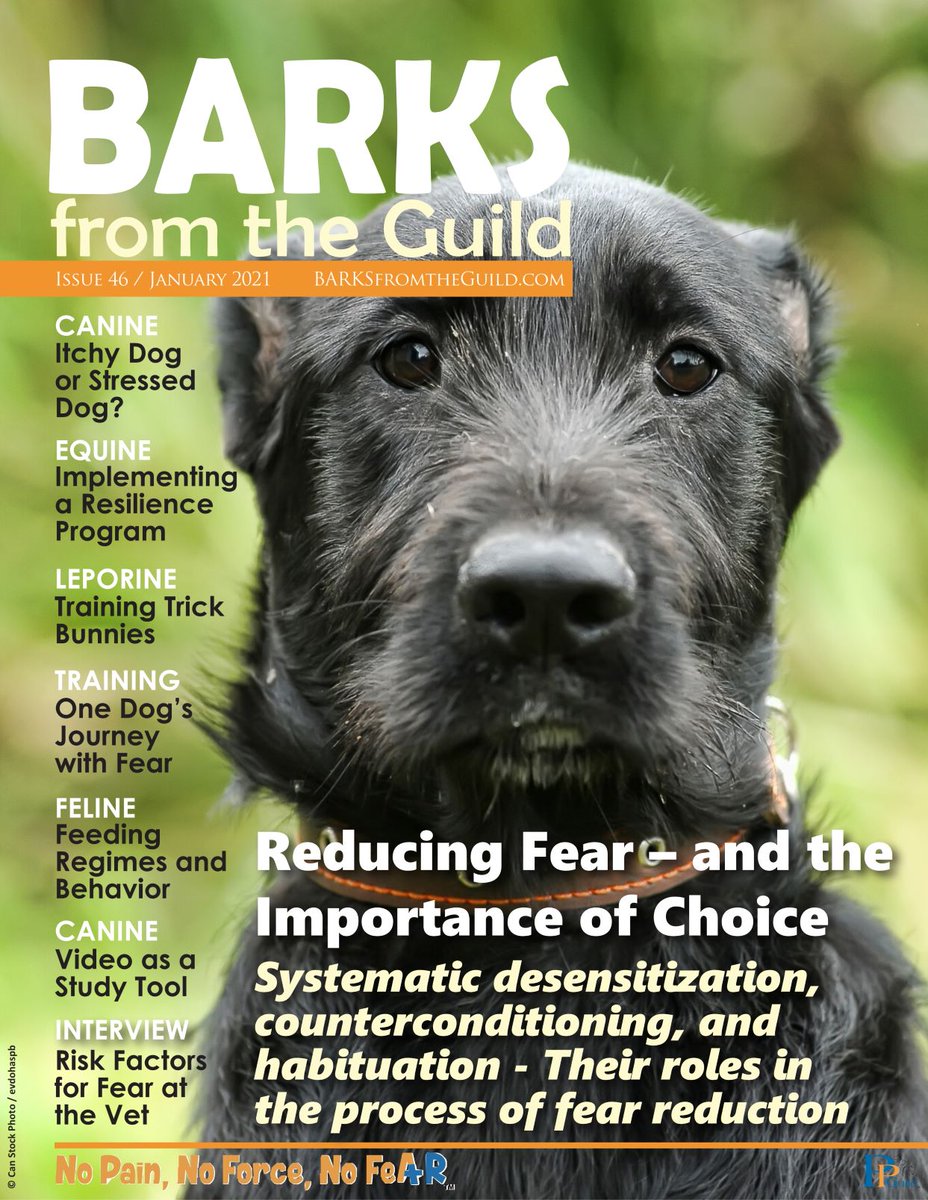 PetGuild's tweet photo. The January issue of BARKS is now available! Read it now in the subscribers' area of the BARKS website: https://t.co/LlzCZLA8Lt
Not subscribed yet? Set up your new account to get your free lifetime digital subscription: https://t.co/E4dCYON0DS #BARKS https://t.co/52XG95VSFD