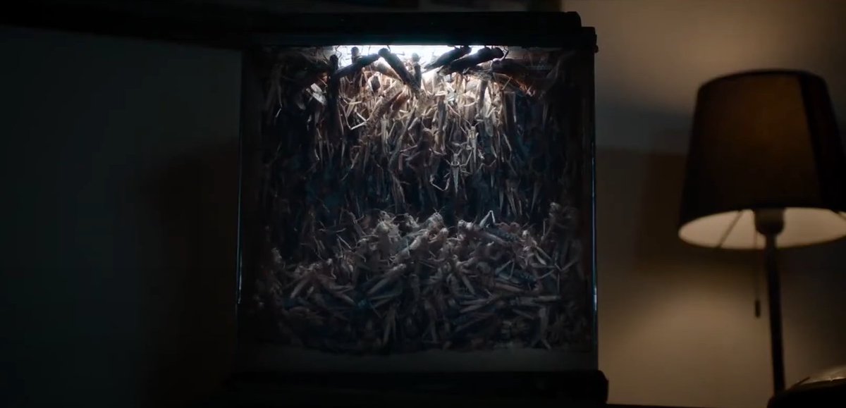 Netflix Original Horror Movies Coming in 2021: Just Philippot's The Swarm."Virginie lives on a farm with her young children and raises locusts. But everything changes when she discovers the locusts have a taste for blood."