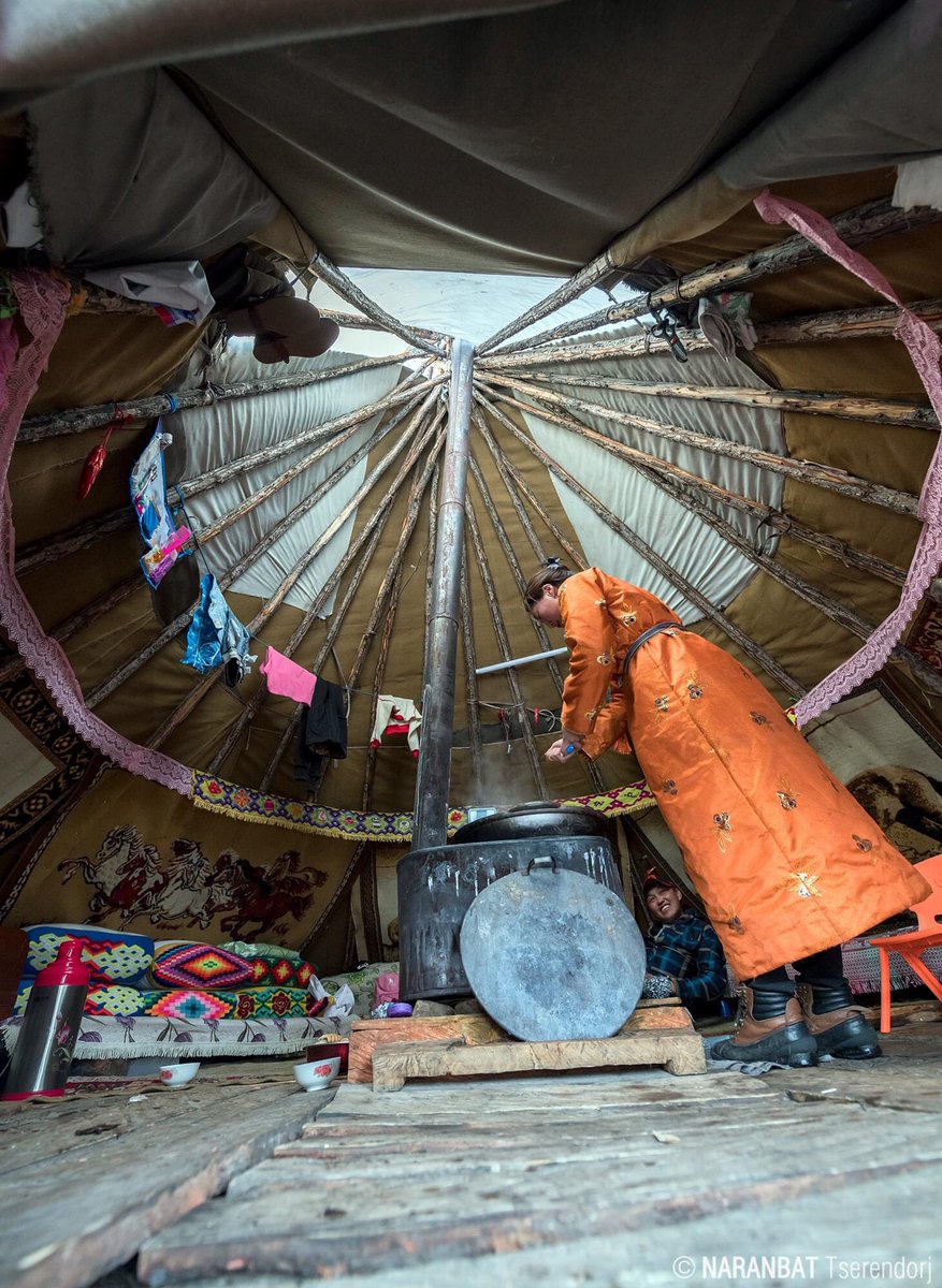 MongoliaLive's tweet photo. Tsaatan yurta, Khuvsgul Province

#tsaatan #reindeer #Tsagaannuur #Khuvsgul #taiga #NorthernMongolia  #Mongolia #nomadic_Mongolia #BlueSkyMongolia #NaranbatTserendorj #NarudDesign
https://t.co/sb3YKnj0x1 https://t.co/AoWpCJsOMk