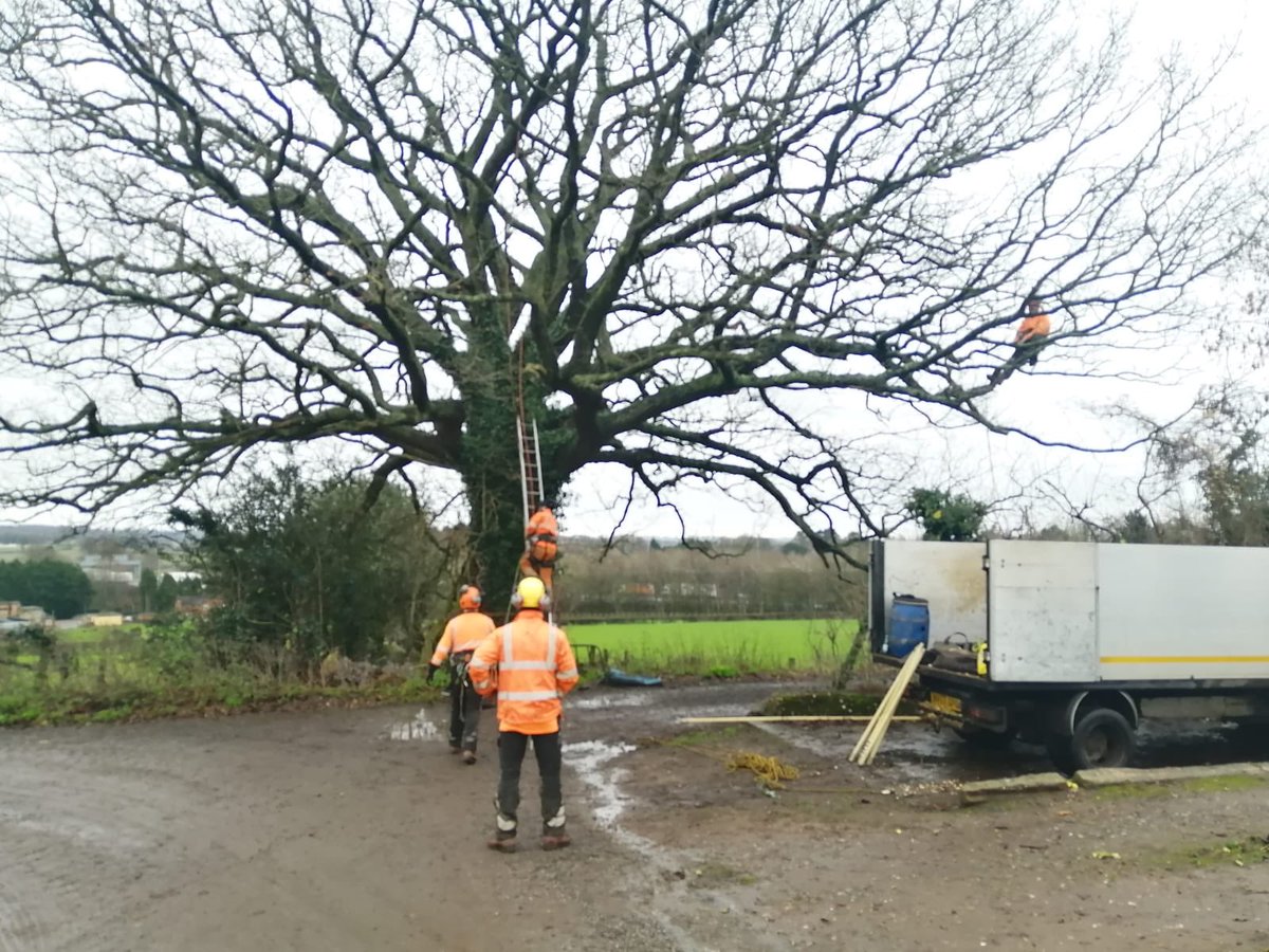 ArbTerrafirma's tweet photo. 2 rope working &amp; aerial rescue training  👀 
Safety is key 🔑 which is why our team are training on the new best practice for 2 rope working with advice and guidance from Terry at the Apex Arb association! 
.
.
.
#terrafirma #safteyfirst #winter #2rope #aerialrescue #training https://t.co/VobrjOt0NZ