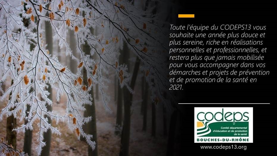 codeps13's tweet photo. L'équipe du #CoDEPS13 vous souhaite une belle année 2021 ! https://t.co/cyQeLqg3j7