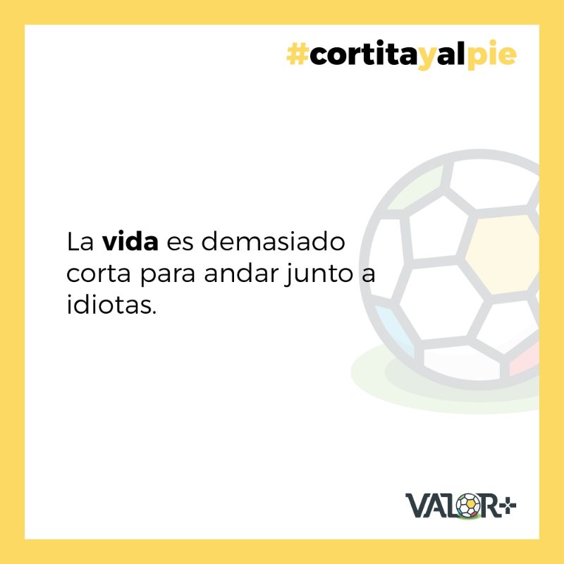 ValorPlus_SS's tweet photo. Cortita y al pie ⚽️

#valorplus #futbol #maneldelgado #entrenadoresfutbol
#formacionfutbol #futbolbase
#coachingfutbolistico #cortitayalpie https://t.co/hbOT3S132f