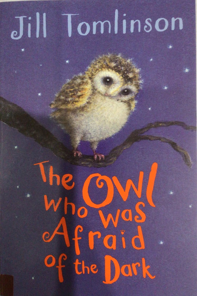 MrsGray82's tweet photo. Another chapter of one of my favourite childhood books read this afternoon 🦉 Tune in tomorrow to find out why ‘Dark is Necessary’. There will also be a Treasure Hunt at 2:30 Year 4. Look forward to seeing your smiley faces 😁 #4AGems @paganelschool @lilley_mrs https://t.co/9FGEEogszb