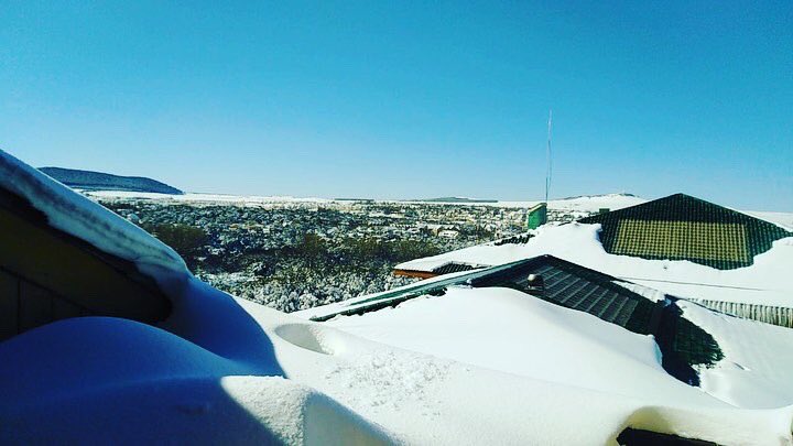 HcNeHamd's tweet image. 