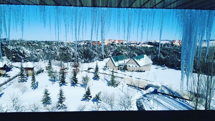 HcNeHamd's tweet image. 