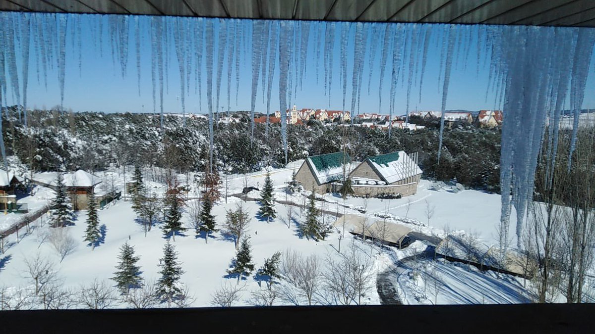 HcNeHamd's tweet image. 