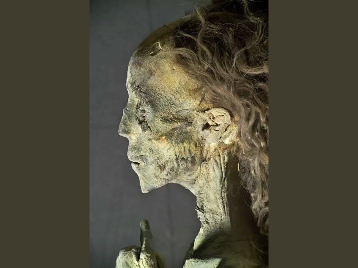 First/ the hair:People often claim that this Bust show her with "Afro hair", in reality, that thing on top of her head isn't her hair but a headpiece, like a crown. She actually had fairly straight (or wavy brown hair). We have her mummy.