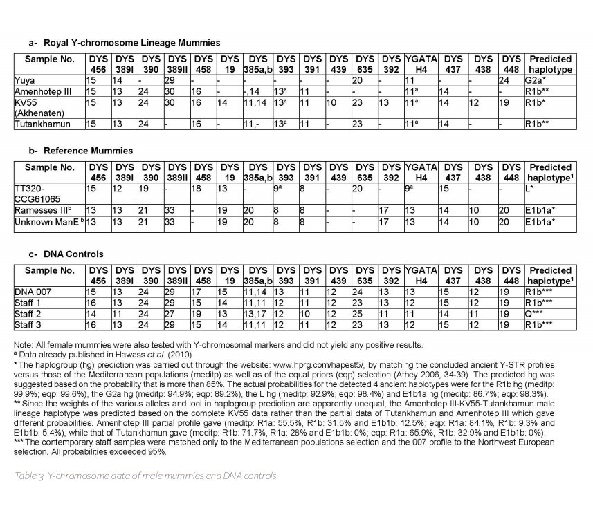 Moreover, there has been DNA study done on Queen Tiye and her parent's mummies. Her father was predicted to have paternal G2a and maternal K, her mother was maternal K. Both of these are West Eurasian in origin and are associated w the Neolithic expansion from near east/Anatolia