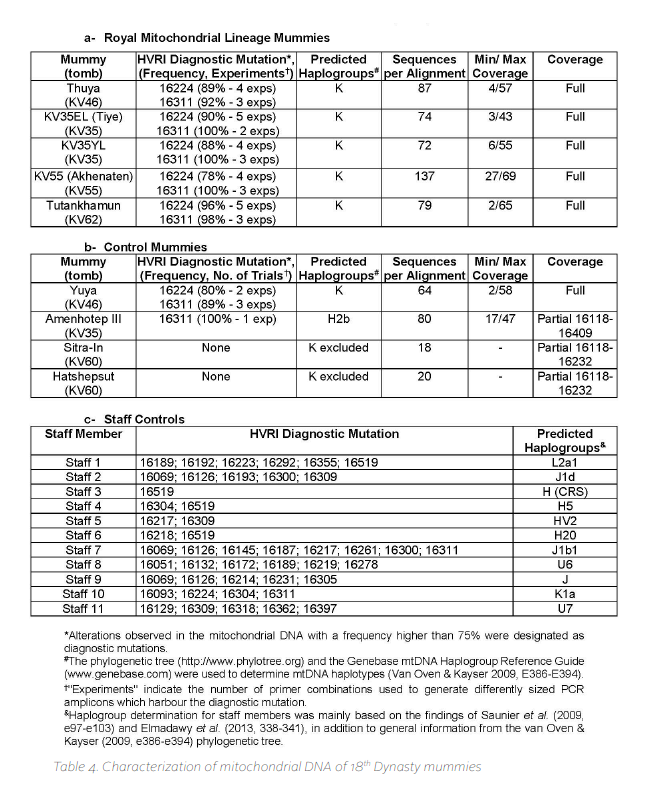 Moreover, there has been DNA study done on Queen Tiye and her parent's mummies. Her father was predicted to have paternal G2a and maternal K, her mother was maternal K. Both of these are West Eurasian in origin and are associated w the Neolithic expansion from near east/Anatolia