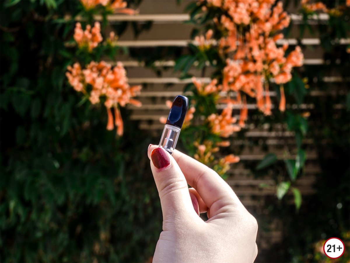 Rita___Tang's tweet photo. The vape-related lung injury crisis of 2019 may have drawn (mostly) to a close, but it’s made a permanent impact on the vaping market. Customers are starting to care a lot more about where they buy their cartridges, who made them, and whether they’re safe. https://t.co/Fq24JifRig