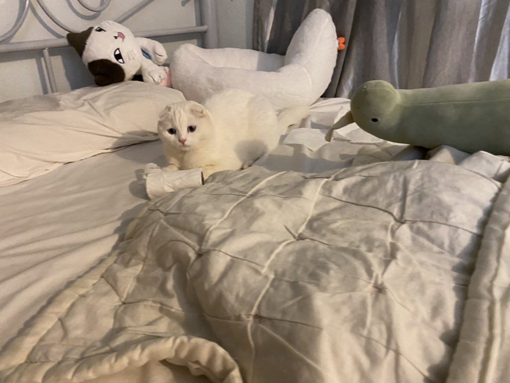 awwwfluffy's tweet photo. ใคเย่นทิดชู่มะนู้เนี่ย ขาดหมดเนย https://t.co/eegUaRD35g