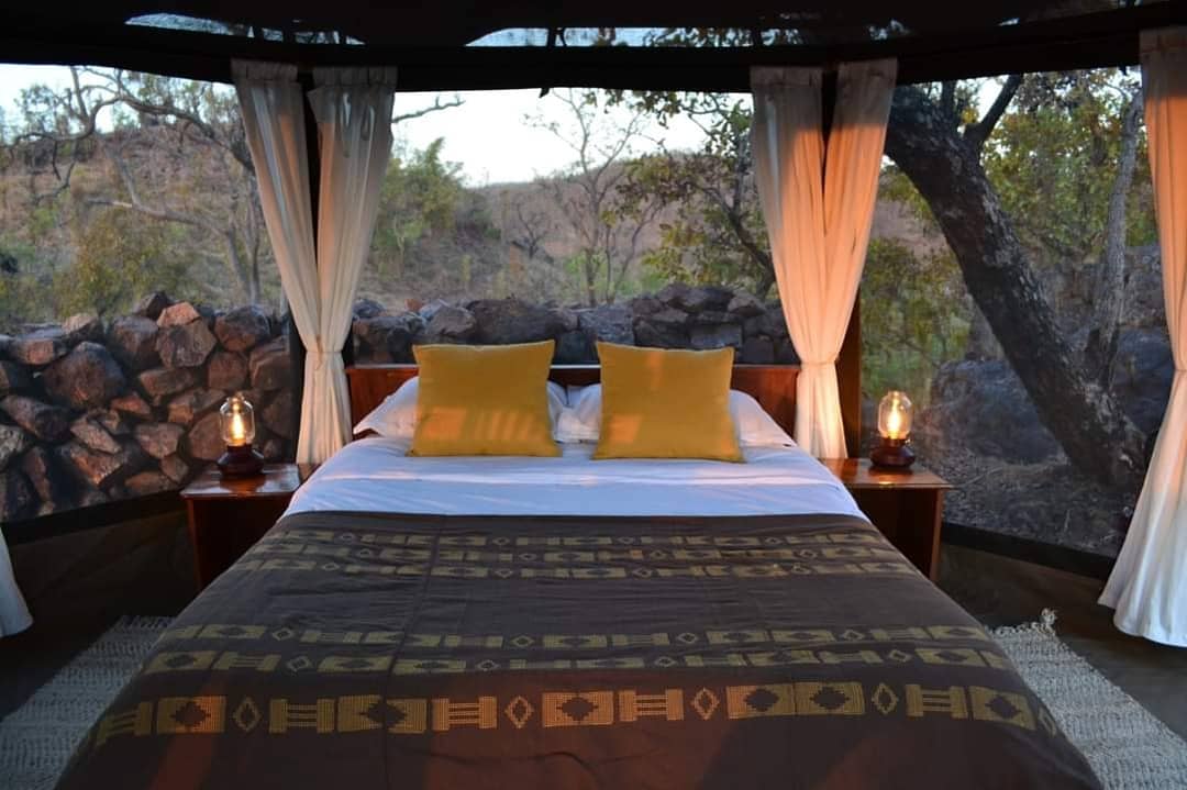 Pendjari National Park tweet media